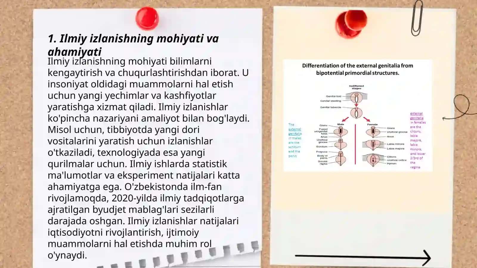 Ilmiy izlanish asoslari faninig o‘rganish sohasi va strukturasi 3