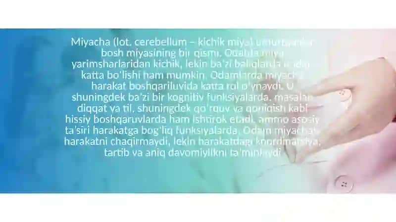 bosh miya bo'limlarini o'rganish 3