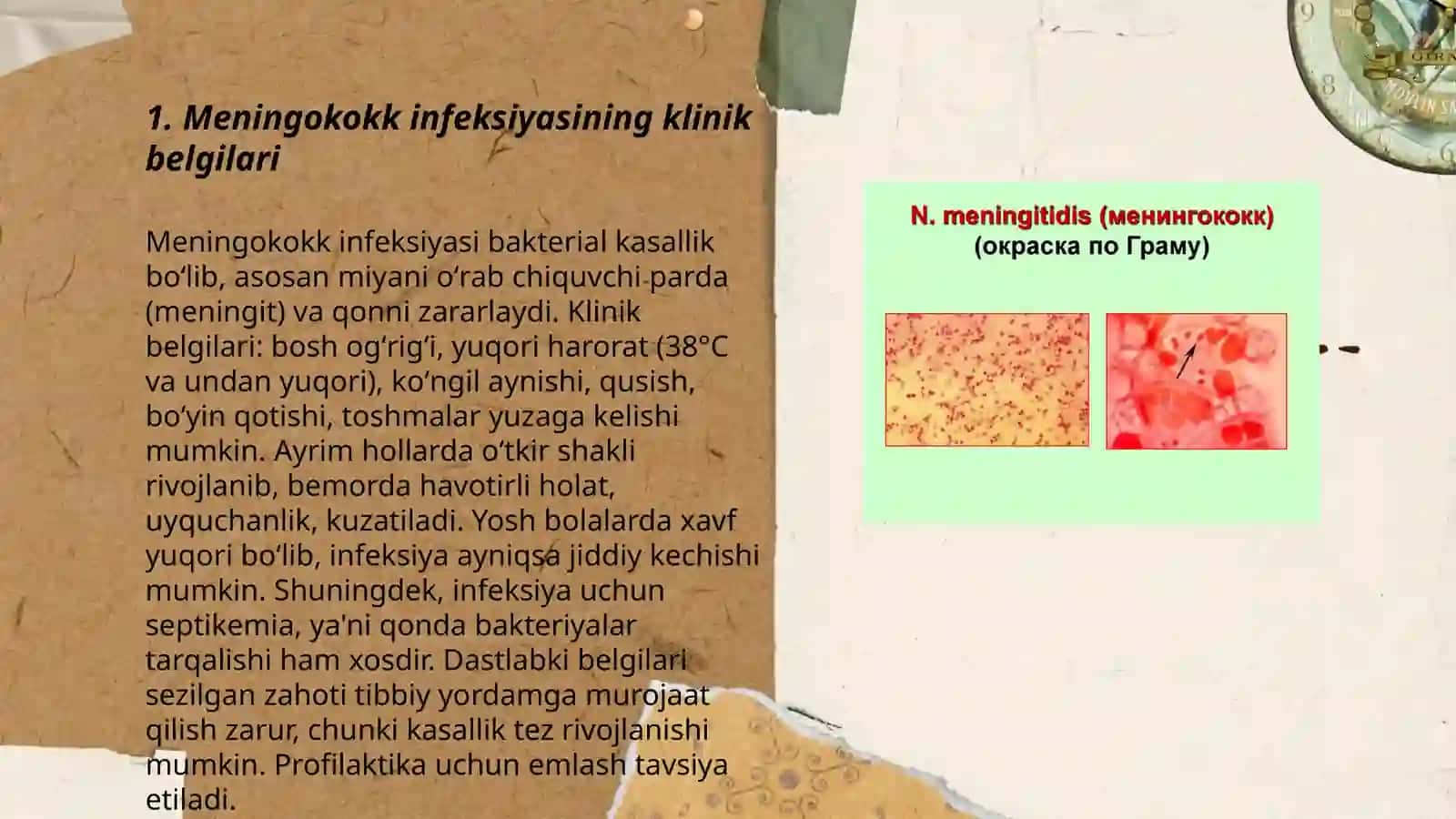Meningokokk infeksiyasi 3