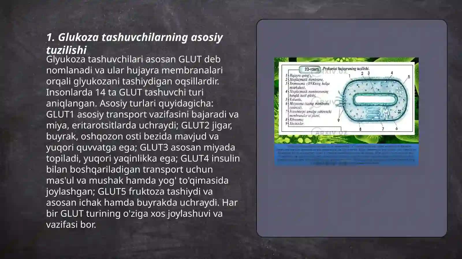 Glukoza tashuvchilarning tuzilishi, spesifikligi, klinik ahamiyati 3
