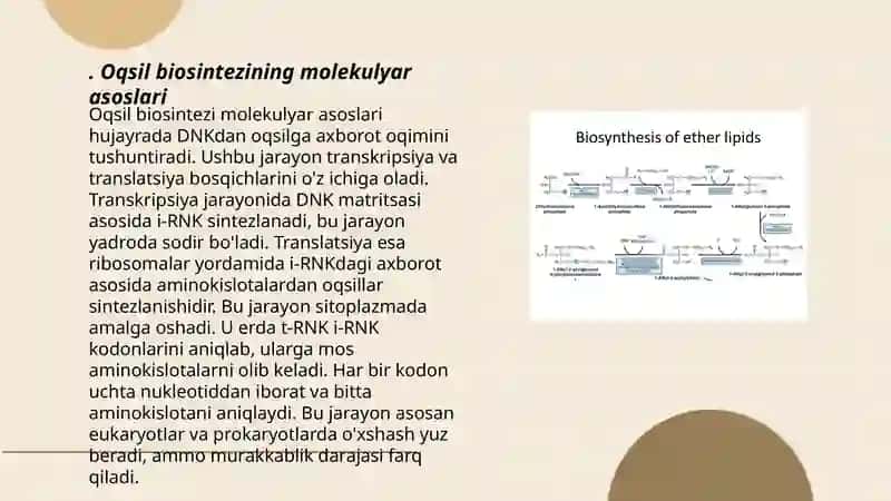 Oqsil biosintezi ingibitorlari. Genlar ta'sirini boshqarilishi, hujayra differensirovkasi. 3