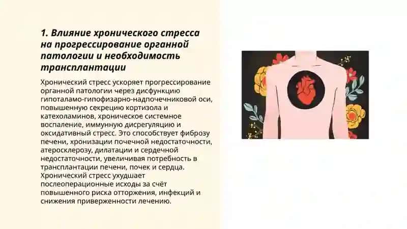 Развитие трансплантации на современном этапе.Стресс-причина всех болезней 3
