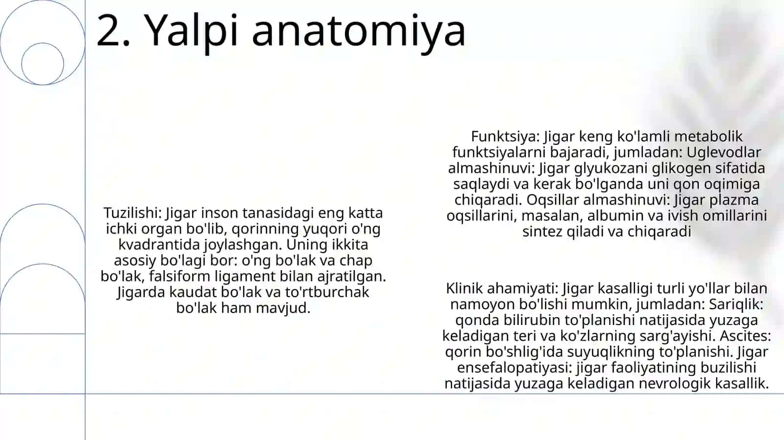 Jigar Anatomiyasi 3
