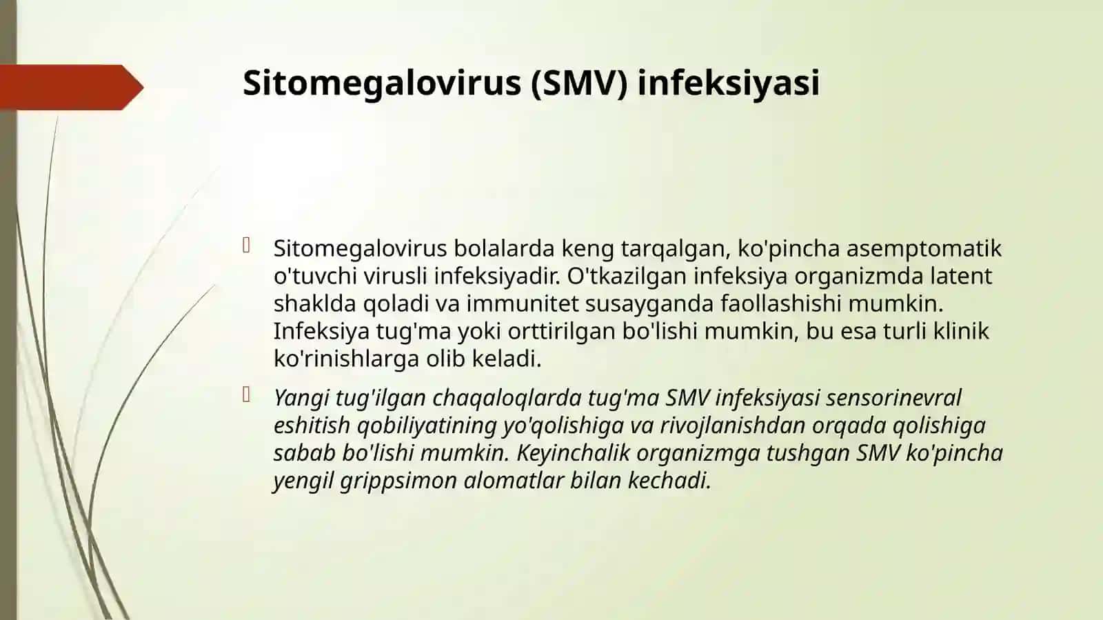 Bolalarda yuqumli kasalliklar: Sitomegalovirus va Oddiy Gerpes Infeksiyasi, Chinchechak 3