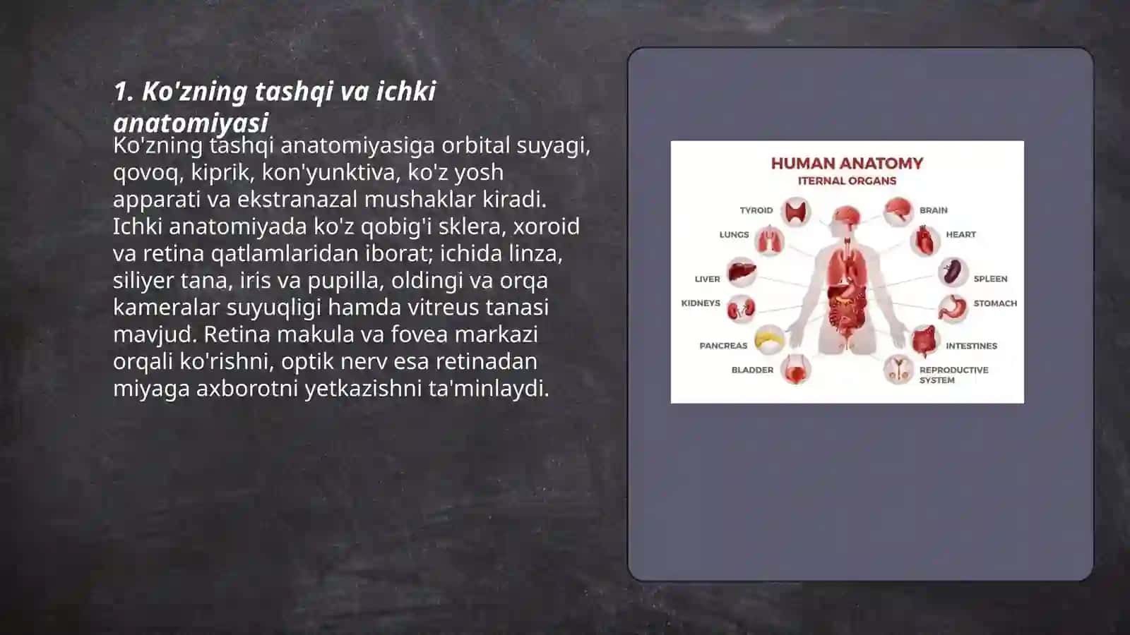 Inson sezgi organlari anatomiyasi va fiziologiyasi 3