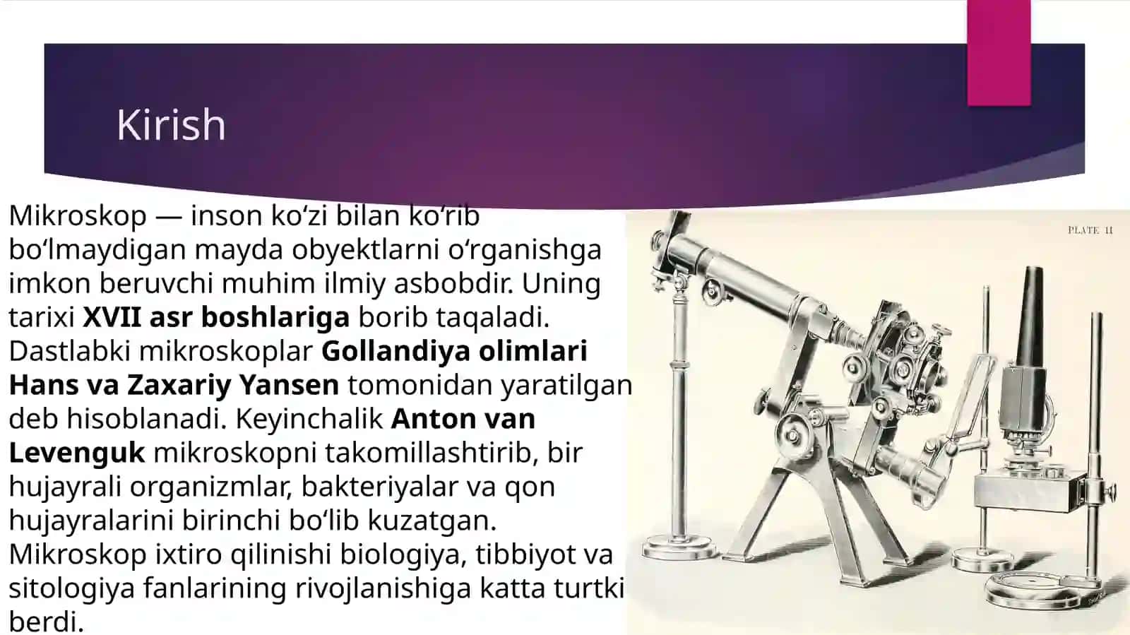 Mikroskop 3