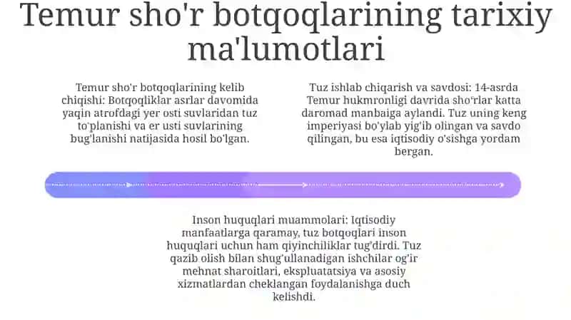 Inson Huquqlari To`Ğrisidagi TaʼLimotlar, Temur Tuzliklarida Inson Huquqlari Masalasi 3