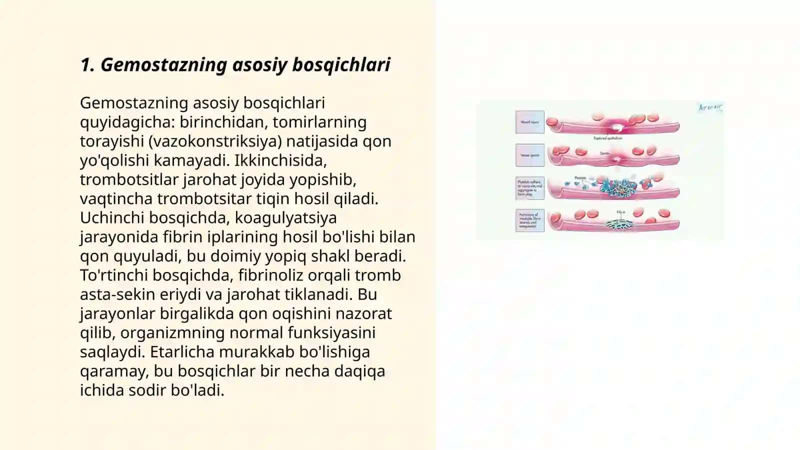 Gemostaz bosqichining ichki yòli 3