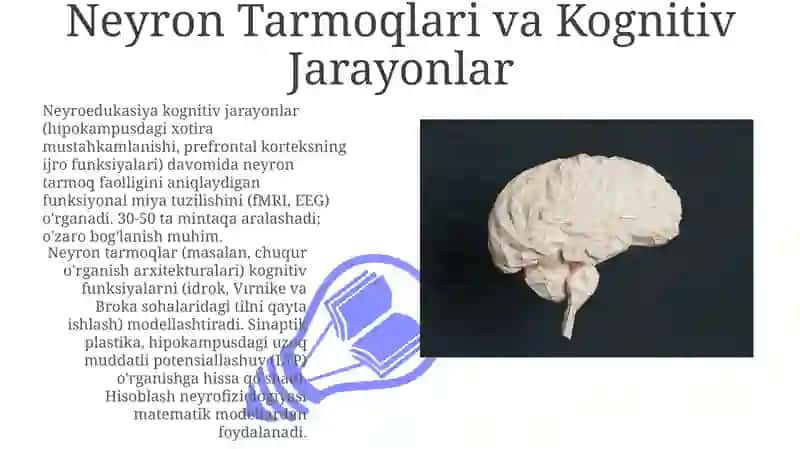 Neyron Tarmoqlari va Kognitiv Jarayonlar 3