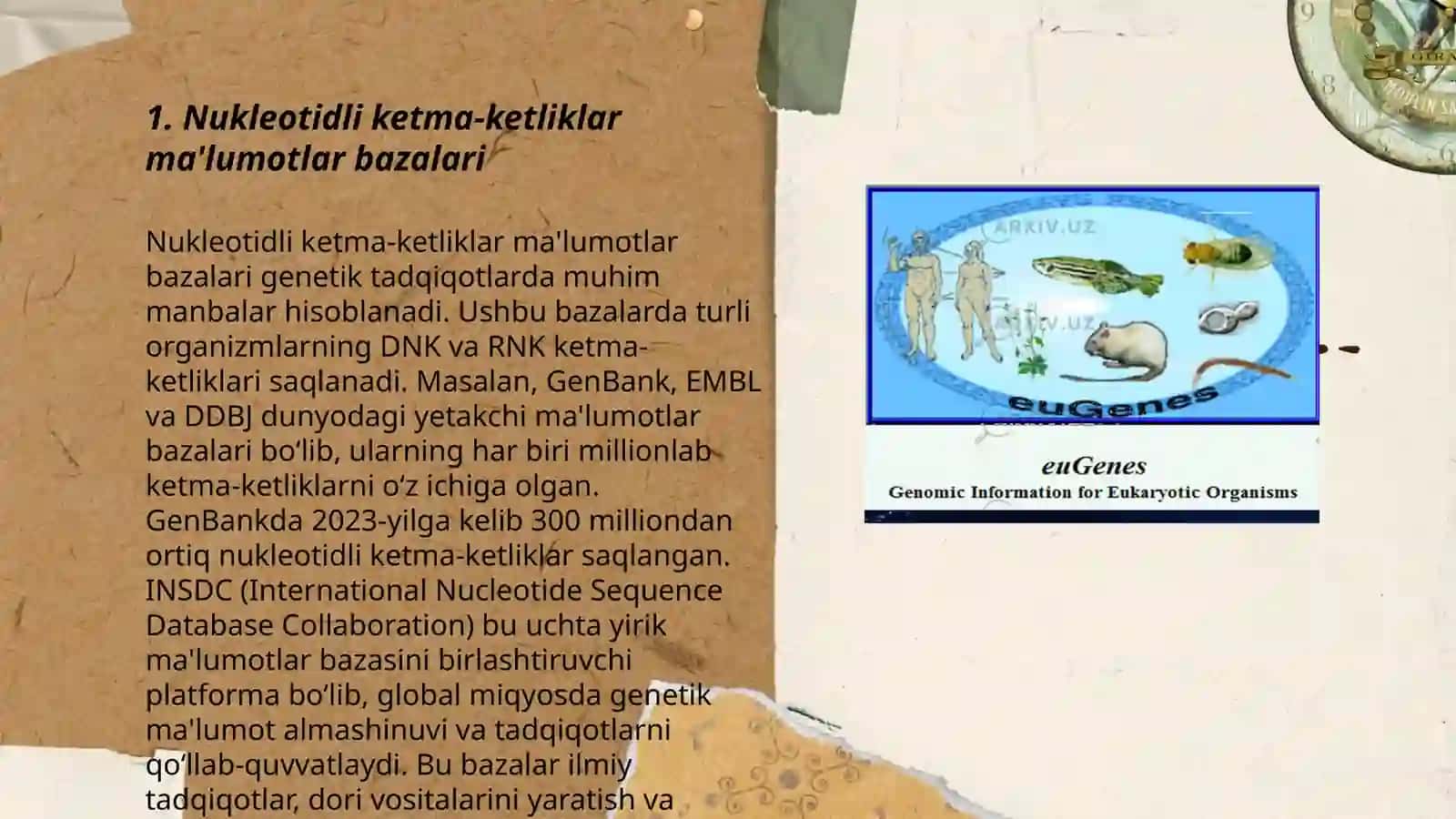 Nukleotidli ketma-ketliklar bo'yicha ma'lumotlar bazalari 3