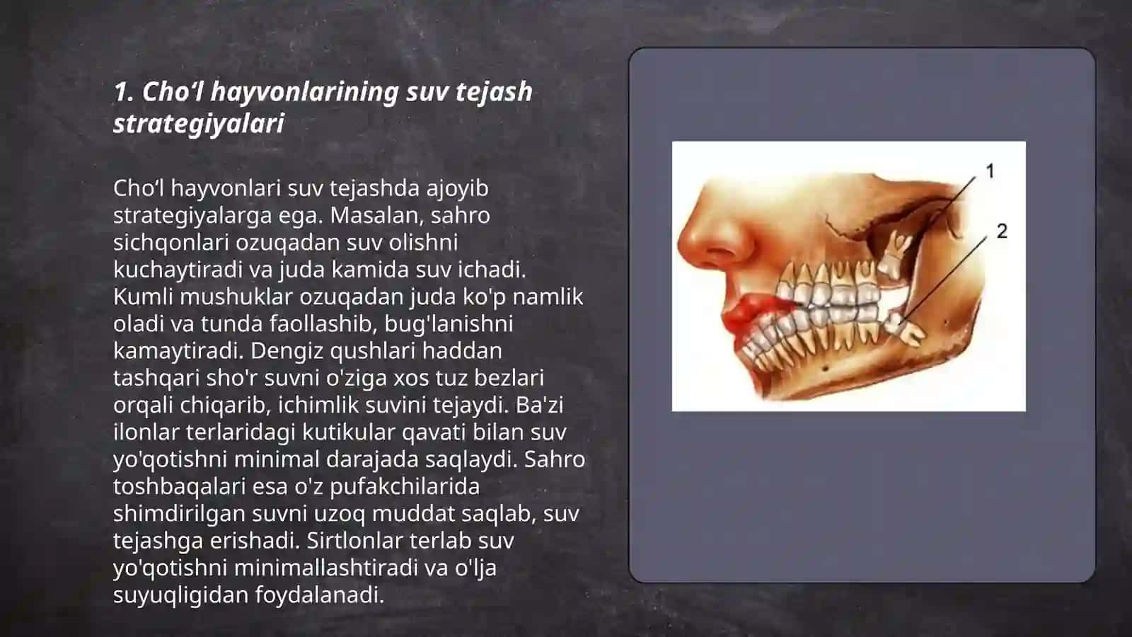 Choʻl hayvonlarining muhitga morfo fiziologik moslanishi 3