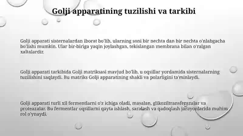 Golji apparati tuzilishi 3