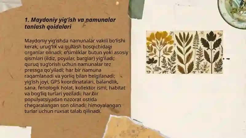 Gerbariy tayyorlash va tayyorlash usulllari 3