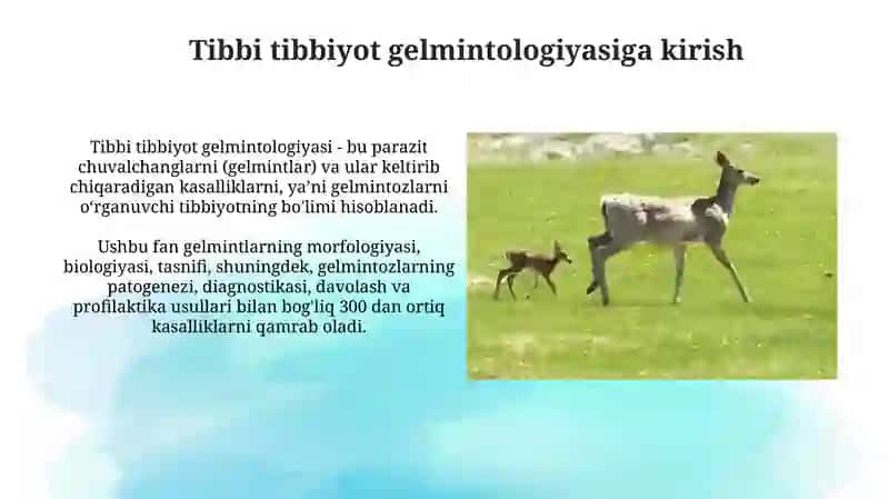 Tibbiy Tibbiyot Gelmintologiyasi 3