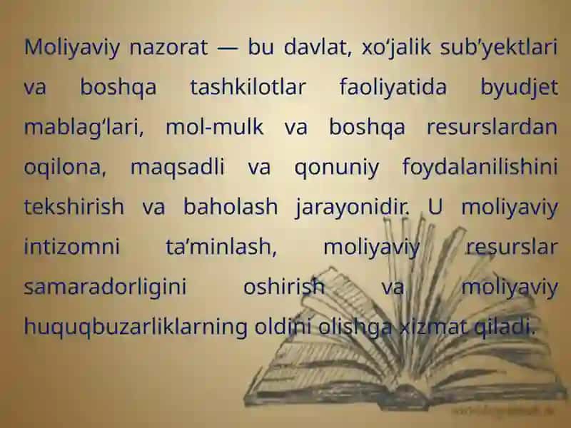 Oʻzbekiston respublikasi moliyaviy nazorat tizimida auditning roli 3