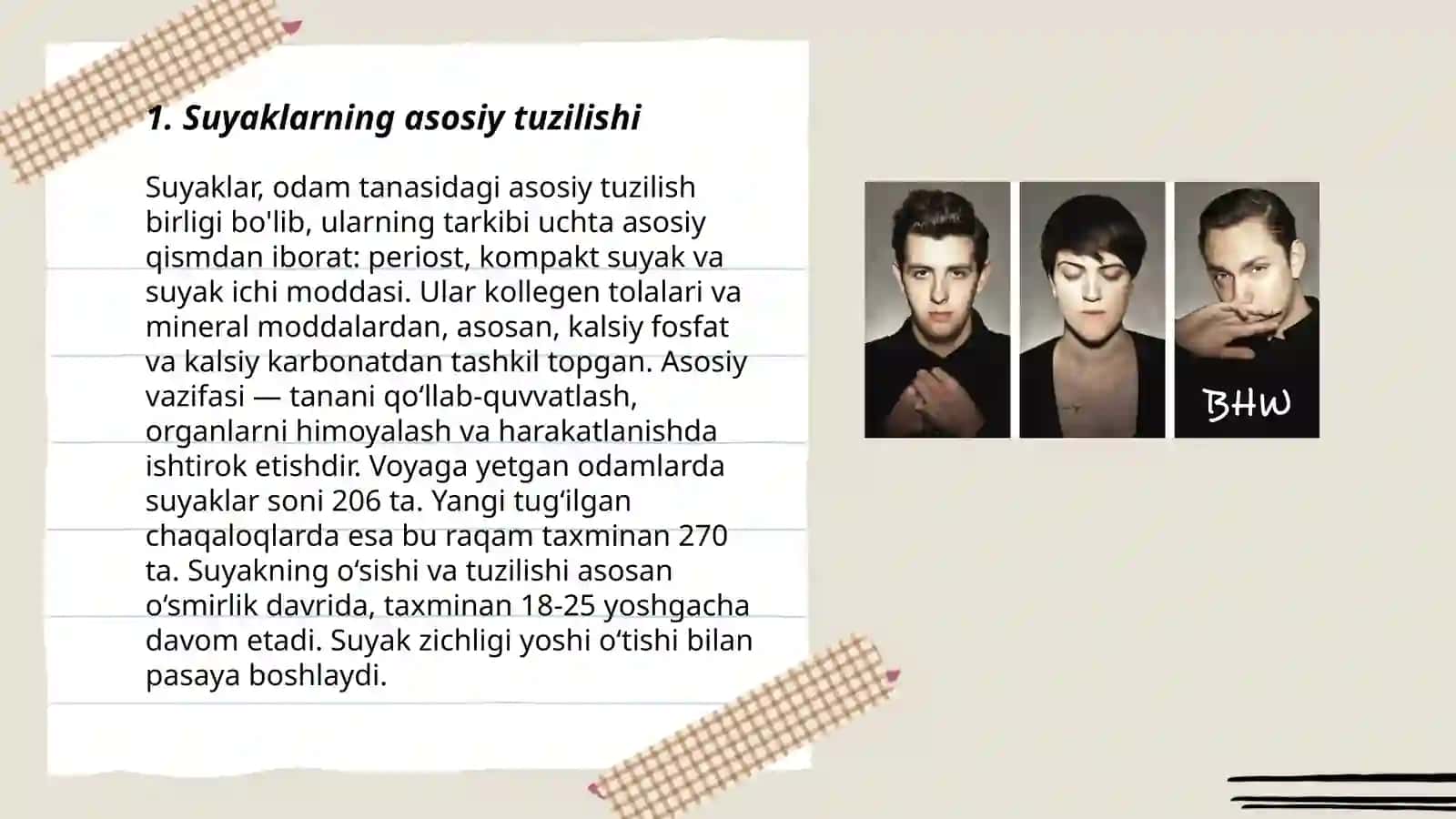 Suyaklarni tuzilishi farqi joylashishi 3