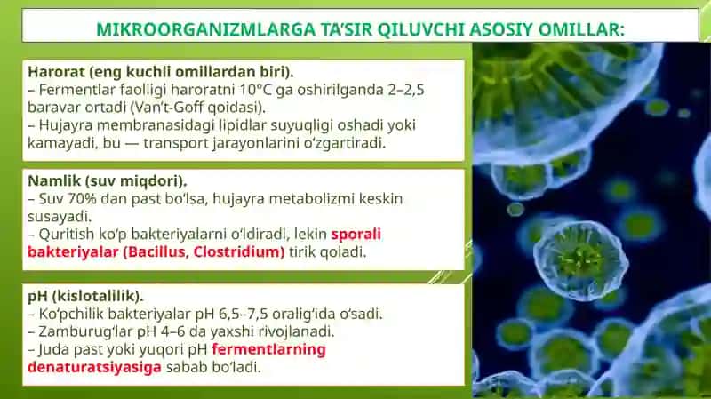 Mikroorganizmlarga tashqi muhit omillarining ta’siri 3