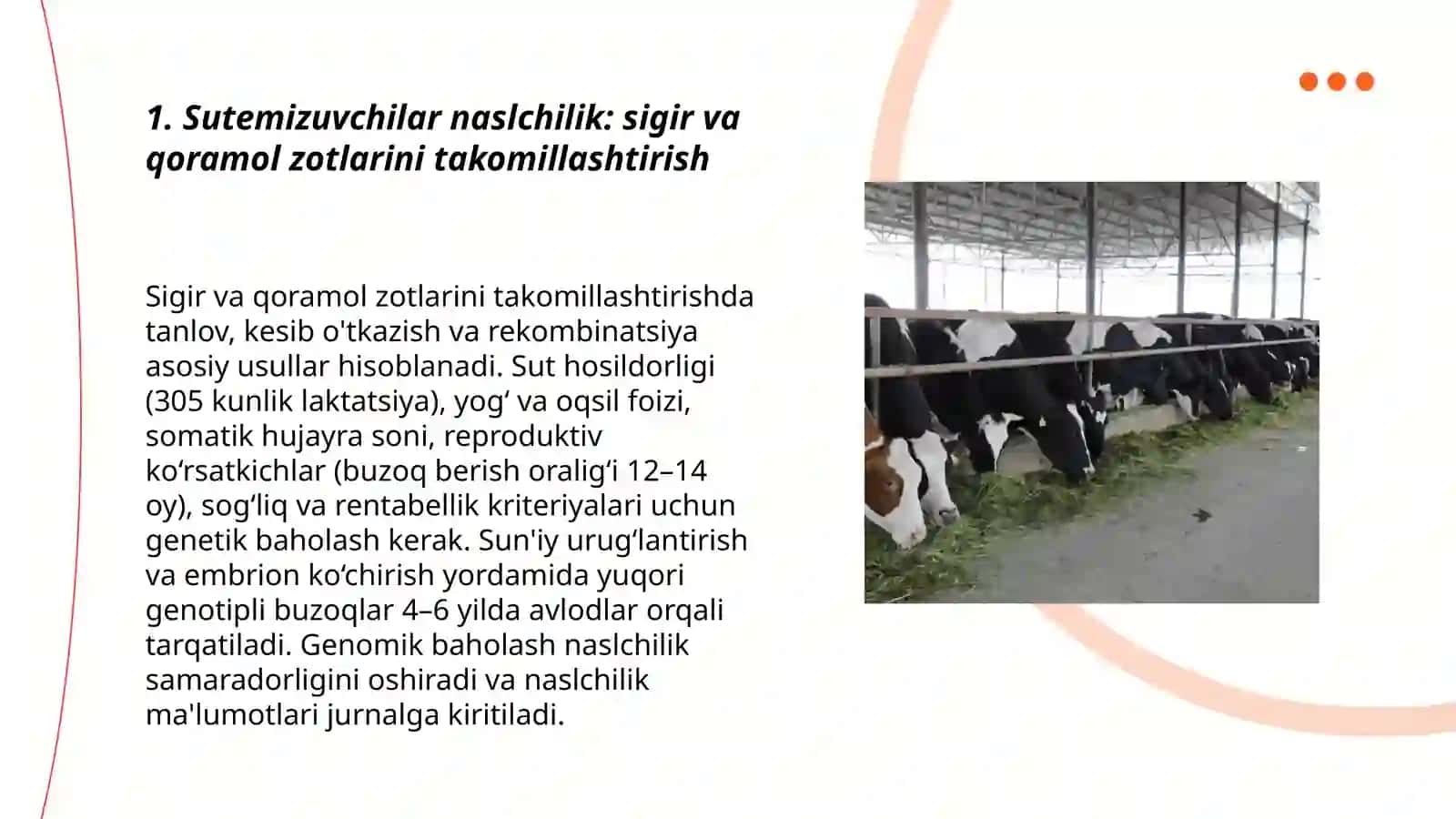 Sutemizuvchilar naslchilik: sigir va qoramol zotlarini takomillashtirish 3