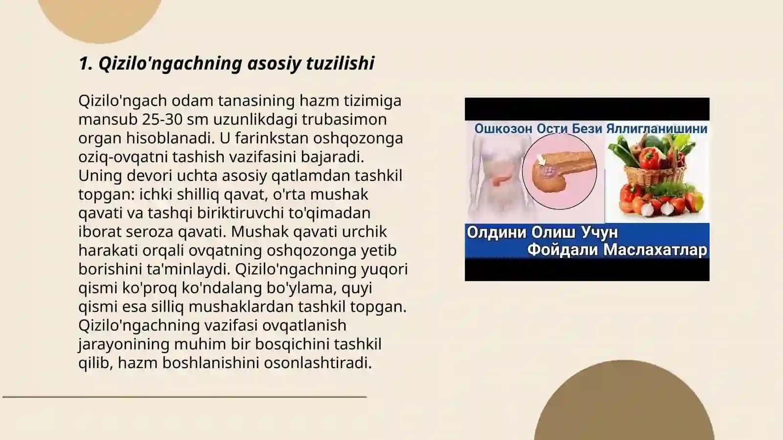 Qizilo'ngach, oshqozon, jigar va oshqozon osti bezining tuzilishi 3