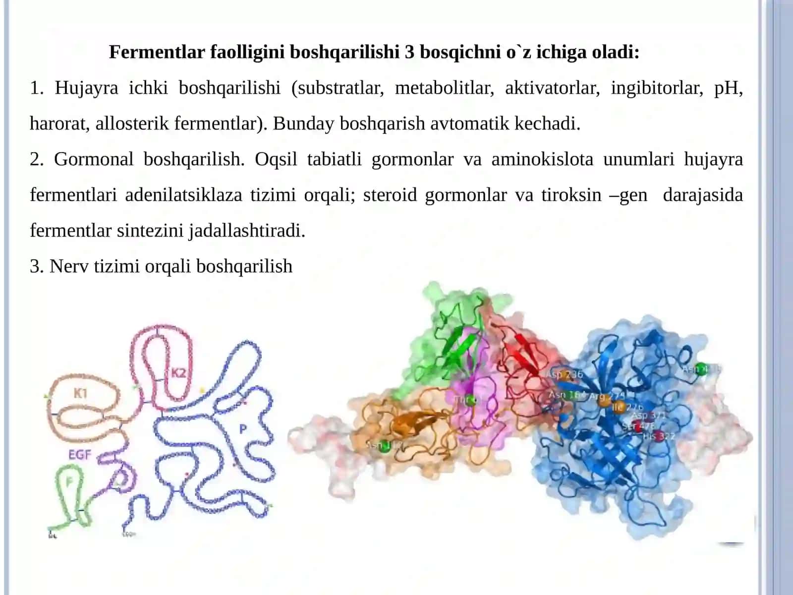 Fermentlar faolligining boshqarilishi 3
