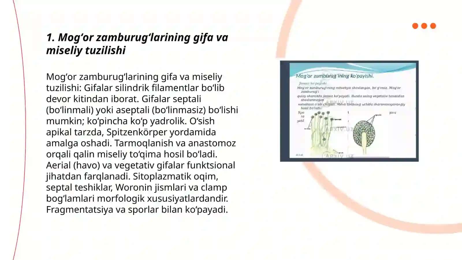 Mogʻor zamburugʻlari morfologiyasini oʻrganish 3