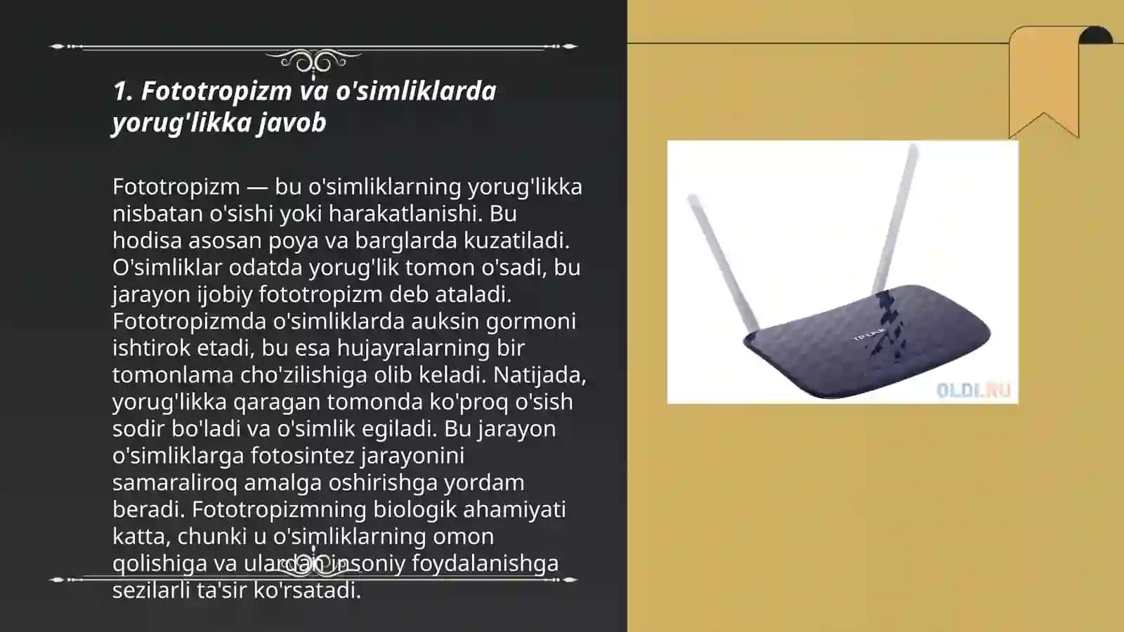 O'simliklardagi fototropizm,fotonastiya,geotropizm hodisalarini kuzatish 3