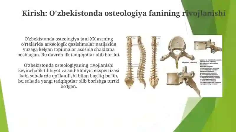 O'zbekiston olimlarining osteologiya sohasiga qo’shgan hissasi 3