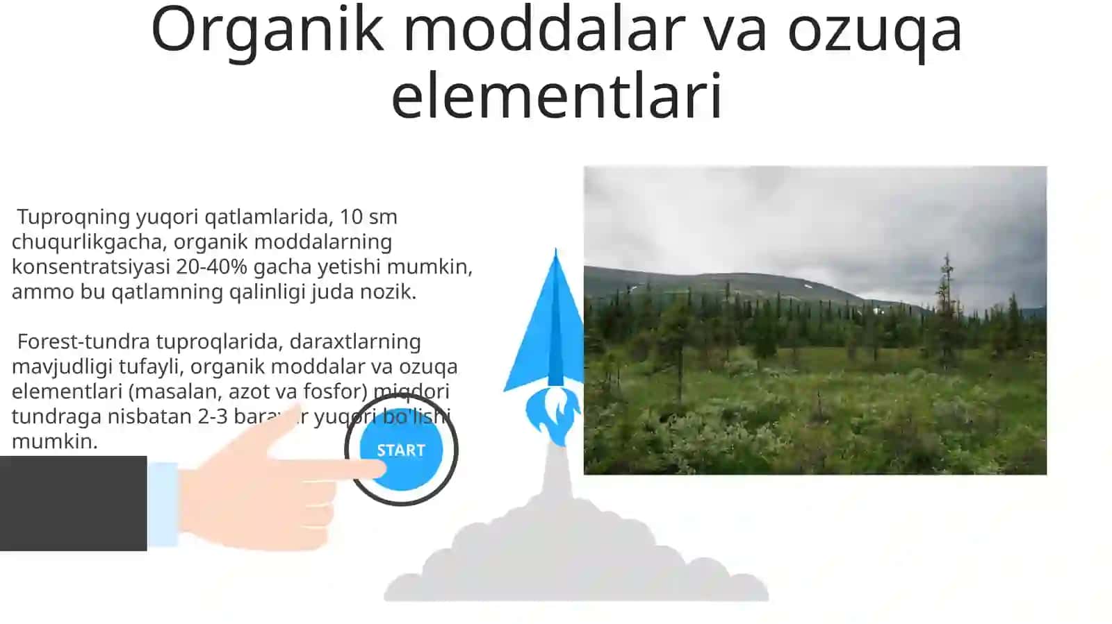 Arktika tundra va oʻrmon tundra tuproqlari 3