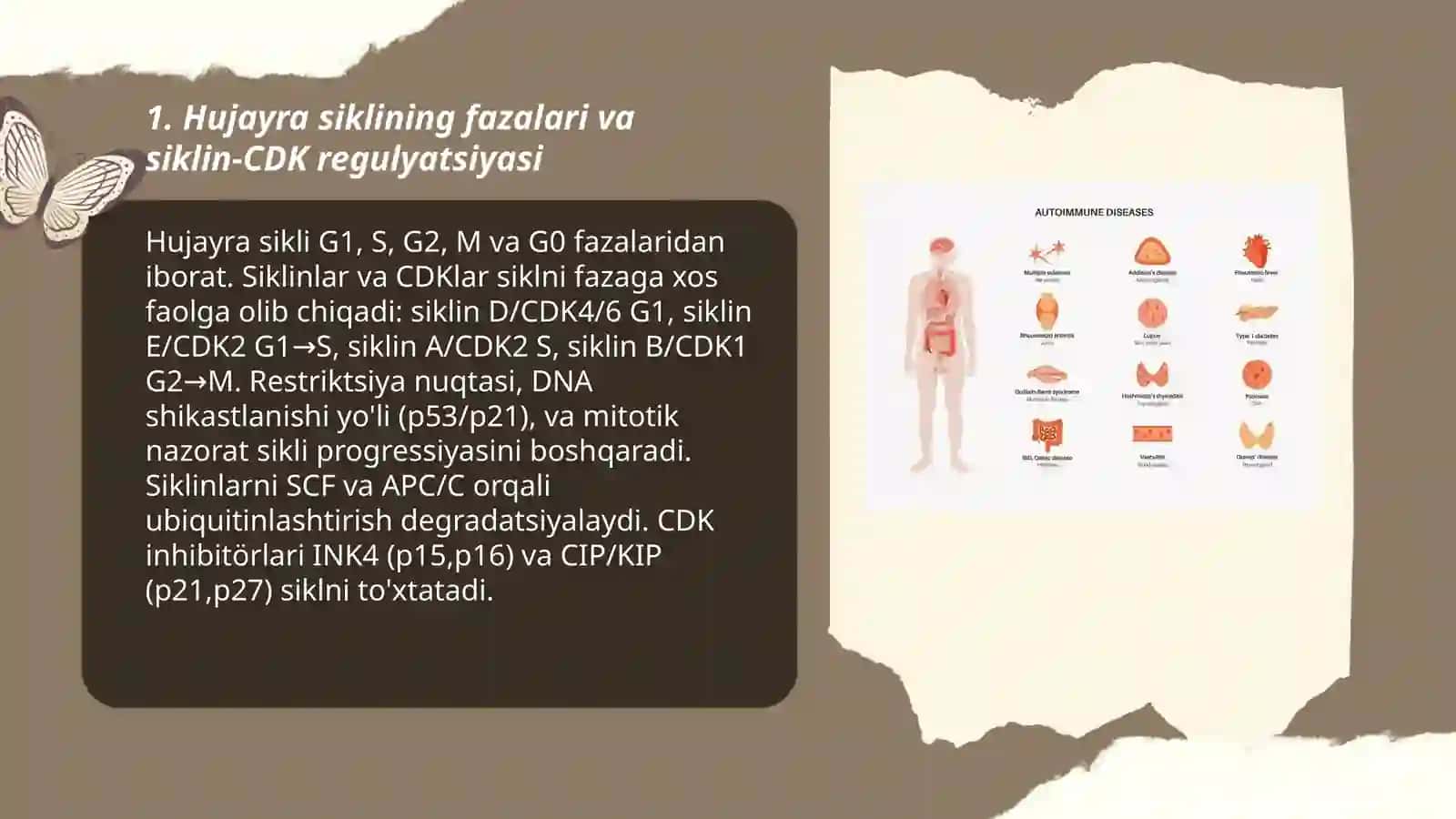 Hujayra sikli va hujayra replikatsiyasi 3