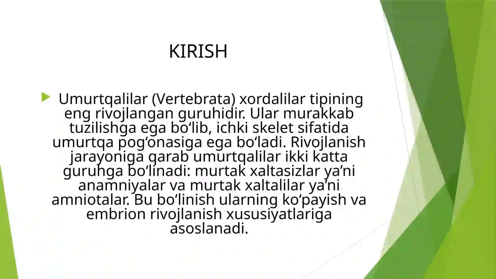 Murtakxaltasiz–Anamniyalar va Murtakxaltali–Amniotalar 3