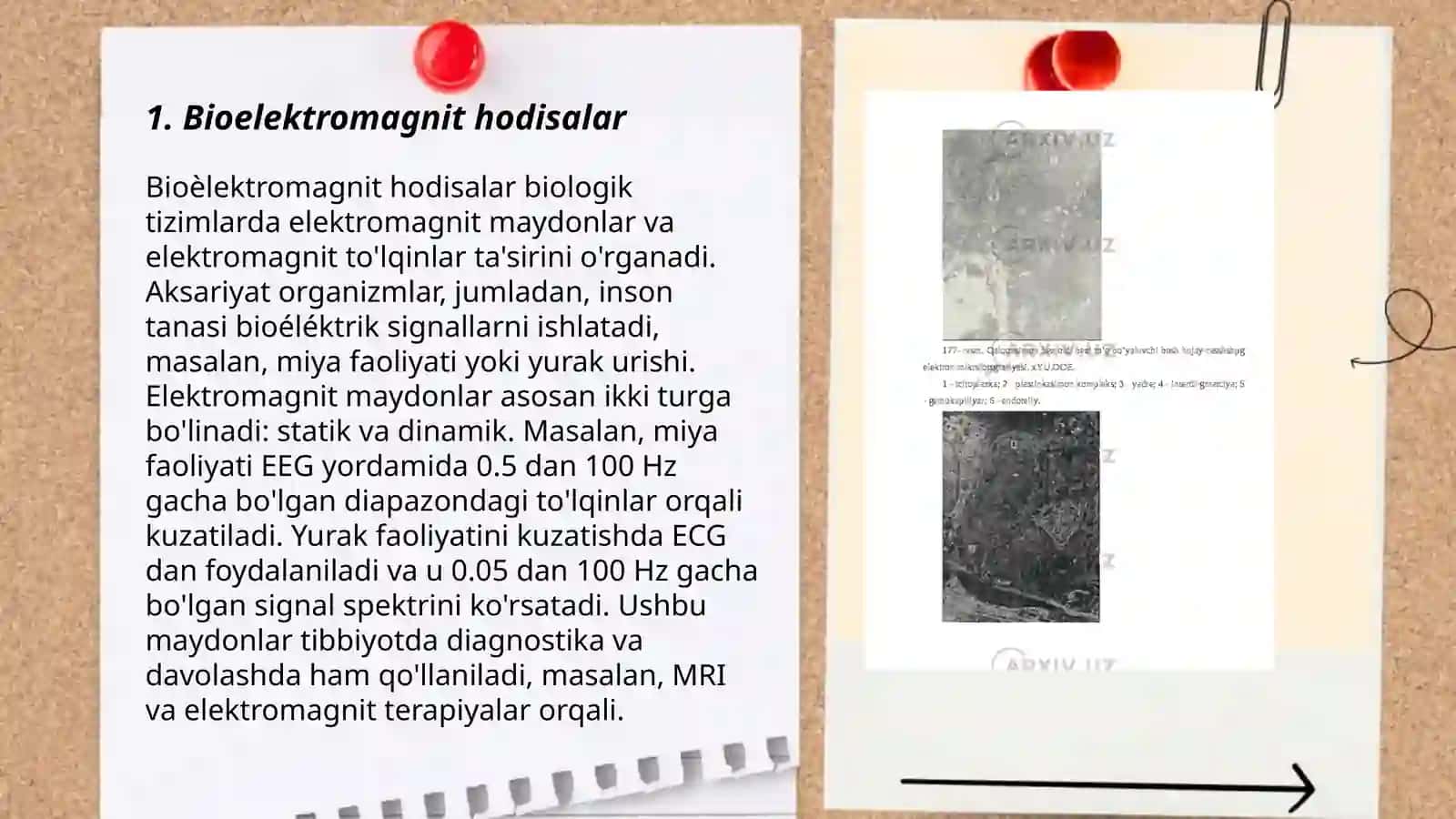 Bioelektromagnit hodisalar 3
