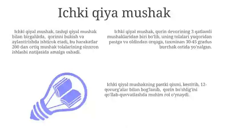 Yon Qorin Devori Mushaklarining Umumiy Tavsifi 3