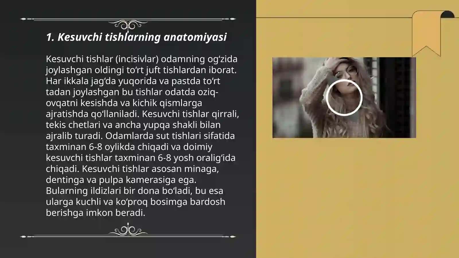 Domiy tishlovdagi frontal gurux tishlarining tuzilishi 3
