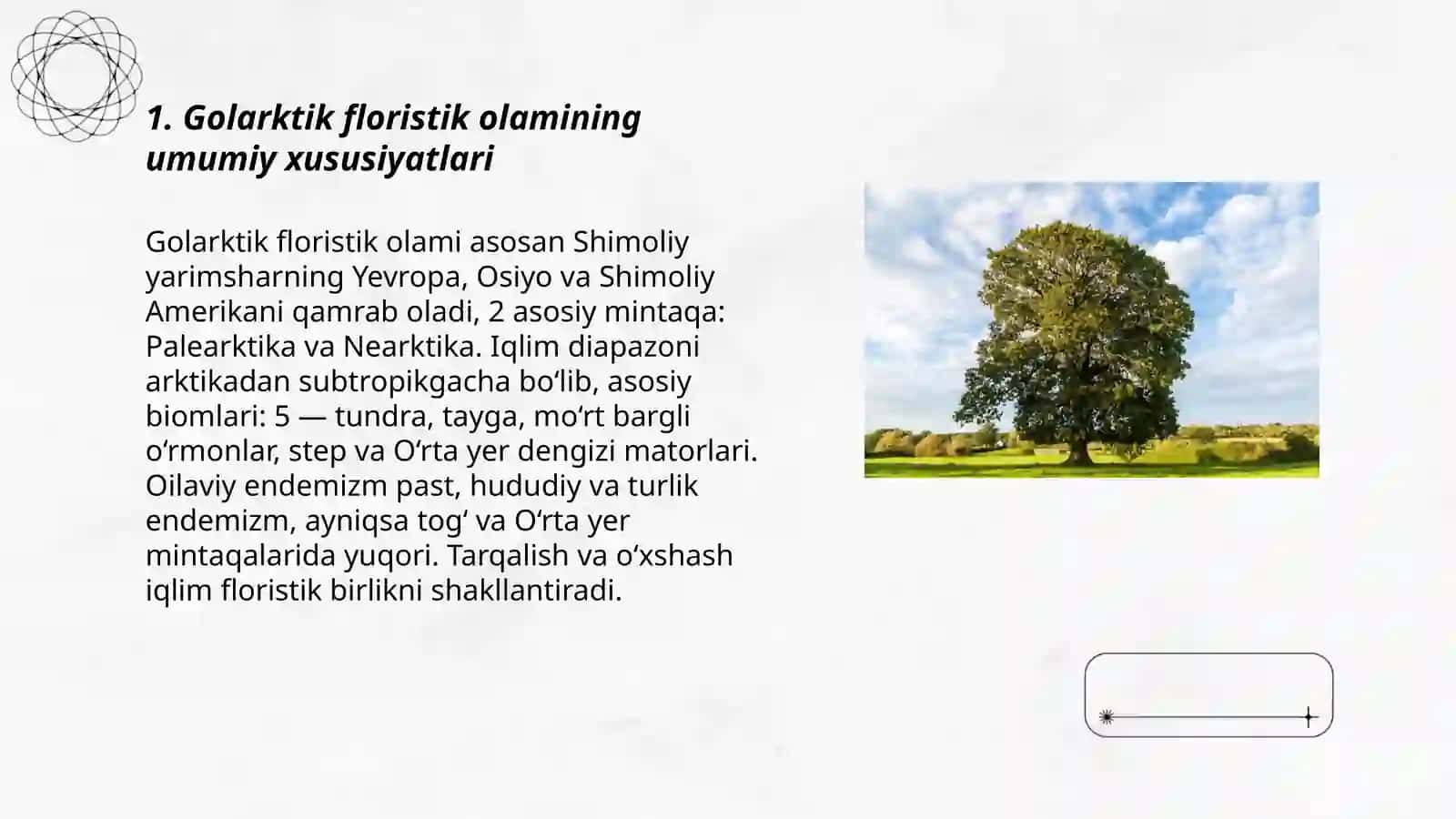 Golarktik Floristika Olami va uning Kichik Olamlari 3