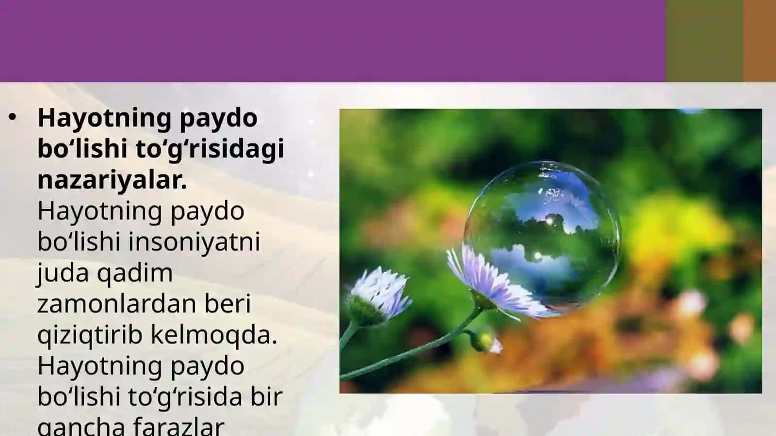 Hayotpaydobo'lishi haqidagi zamonaviy tasavvurlar 3