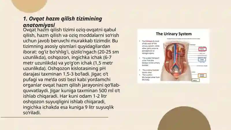 Ovqat hazm qilish tizimi va buyrak va siydik yo'llari kasalliklari buzilgan bemorlarni davolash 3