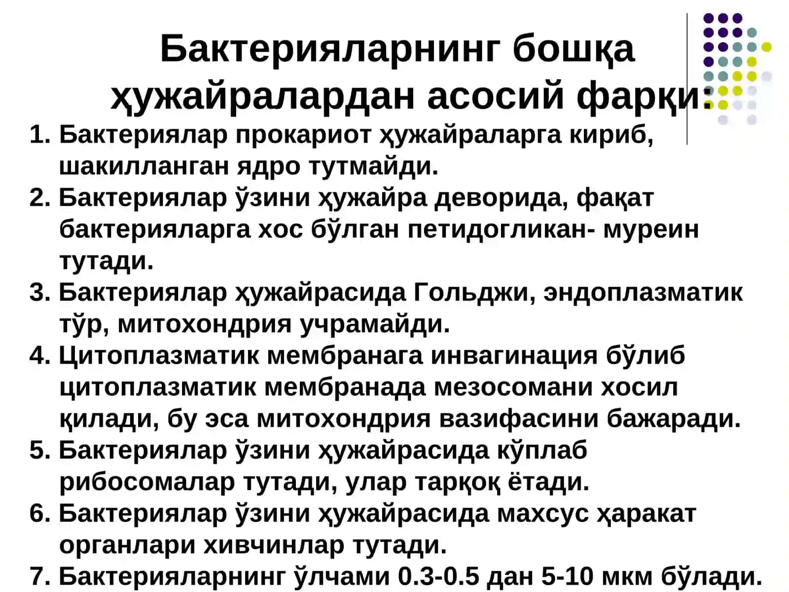 Бактерия хужайрасининг тузилиши ва химиявий таркиби, улчамлари 3