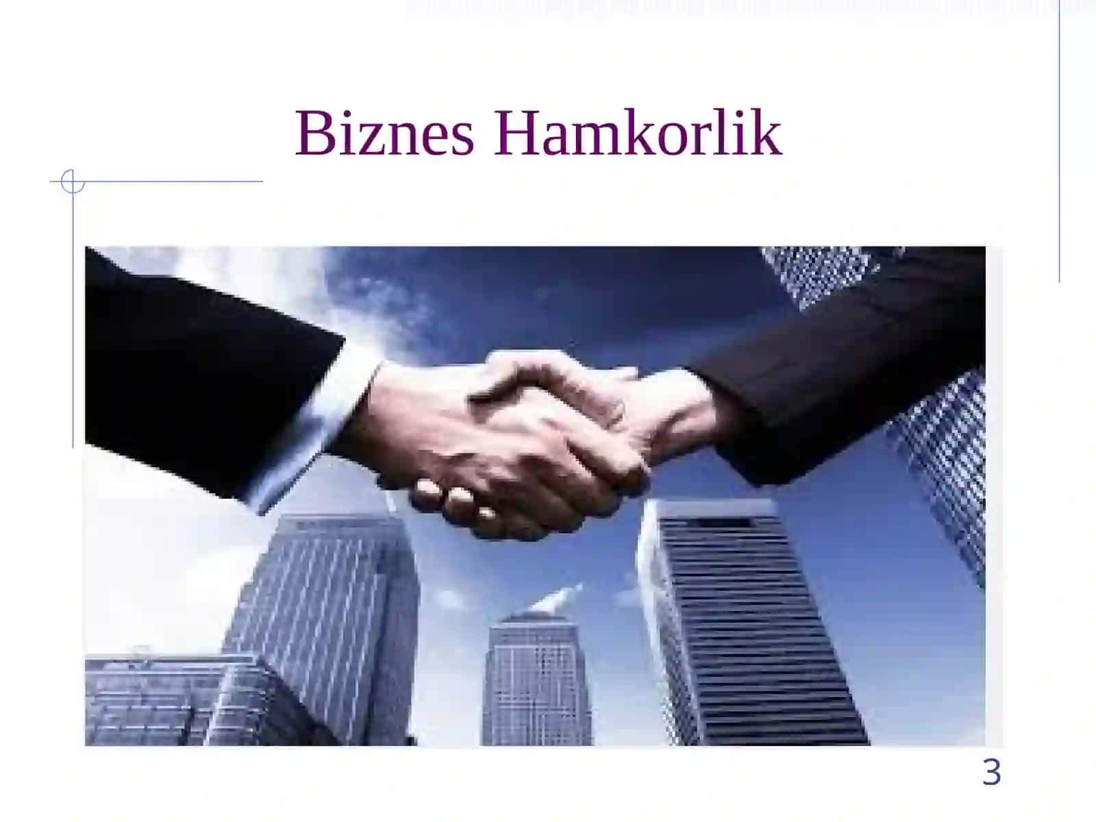 Biznesni tashkil etish turlari 3