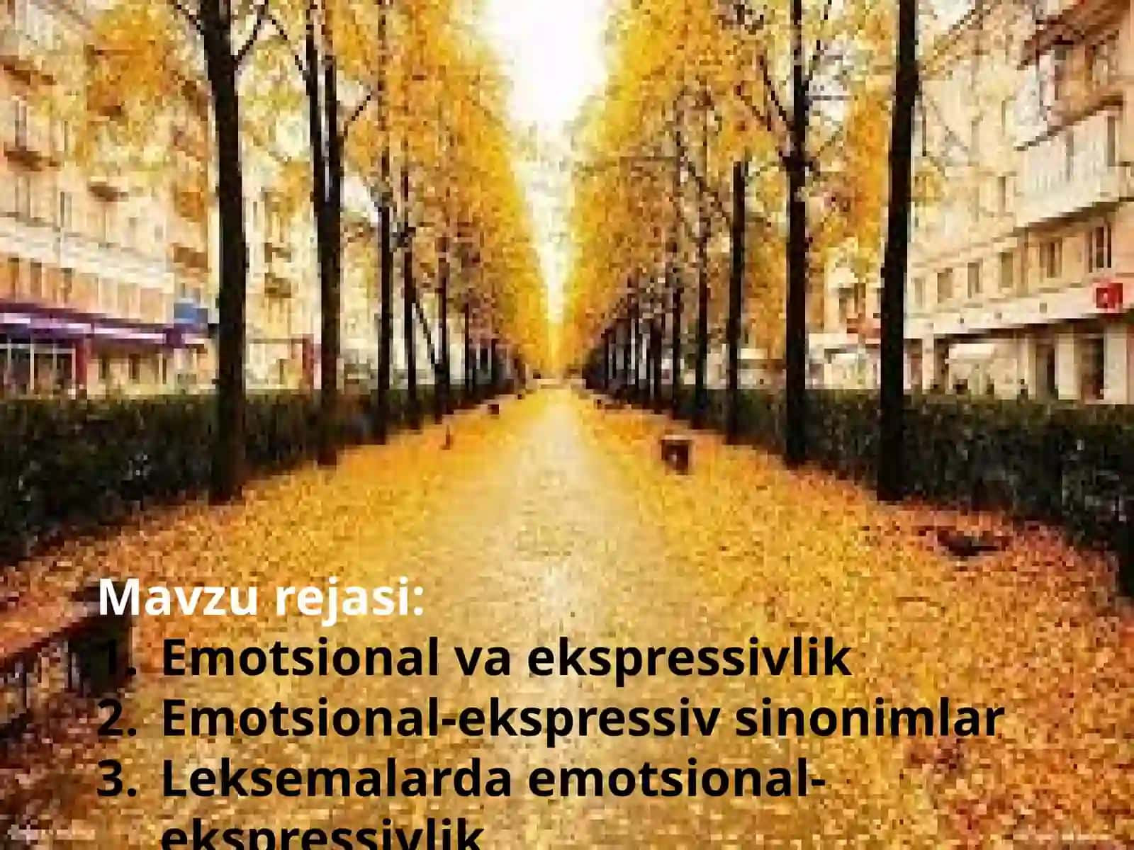 Ona tili va adabiyot fanida Emotsional-ekspressivlikning leksemalarda namoyon bo`lishi 3