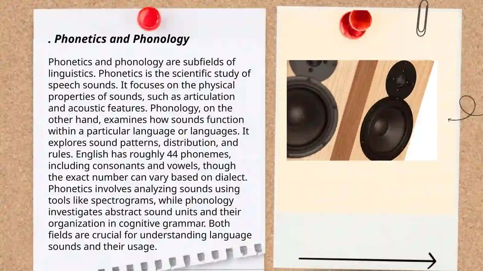 Phonetics and Phonology 3