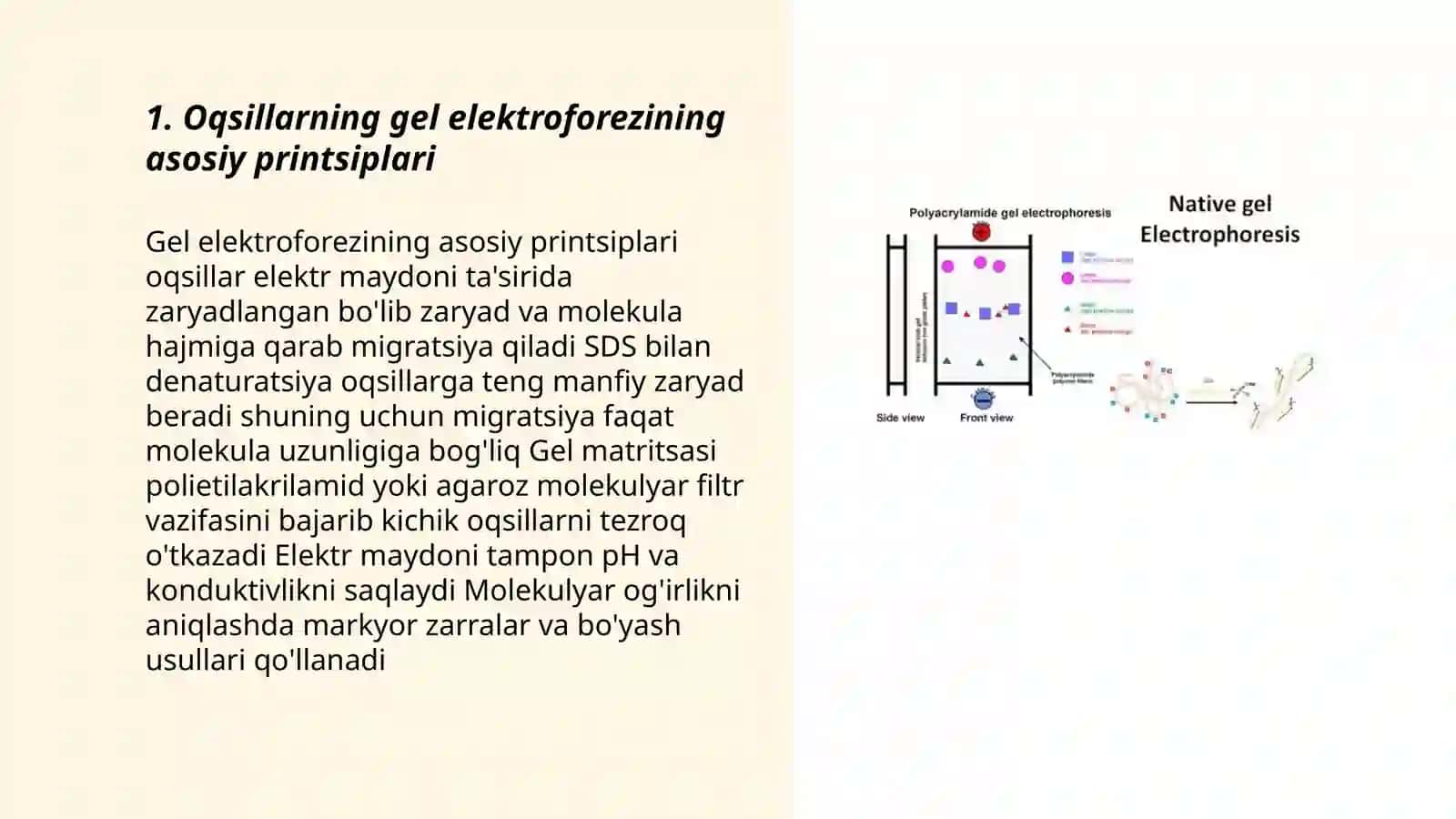 Oqsillarning gel elektroforezi 3