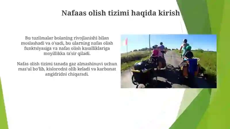 Bolalarda traxeya, bronx, o’pkalarning anatomik fiziologik tuzilishi 3