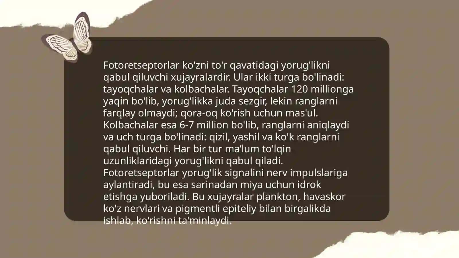 Fotoretsepsiyaning morfologik asoslari 3