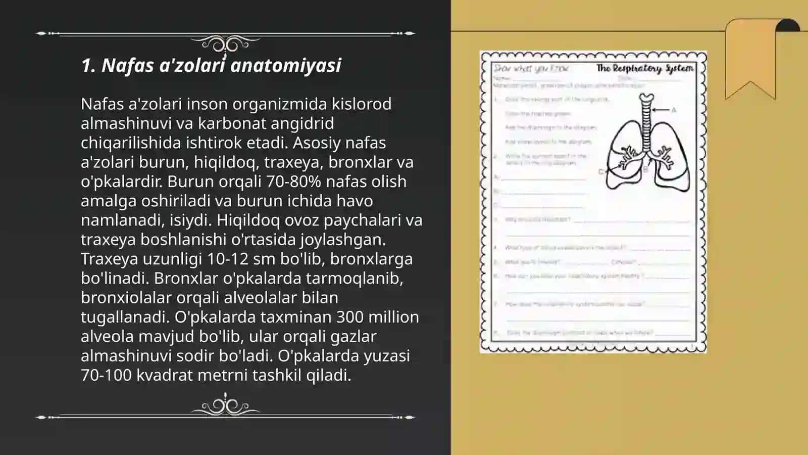 Nafas stimulyatorlari 3