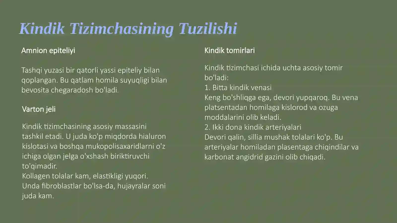 Kindik Tizimchasi: Ona-Homila Aloqasi 3