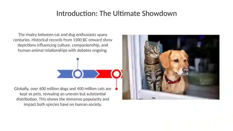 Cats vs Dogs – Who Rules the World? 3