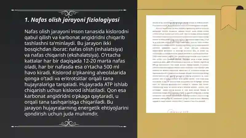 Nafas olish fiziologiyasi 3