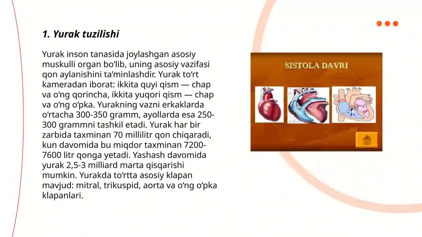 Yurak-qon tomirlar tizimi. Venula arteriolo-venulyar anastamozlar venalar. Yurak 3