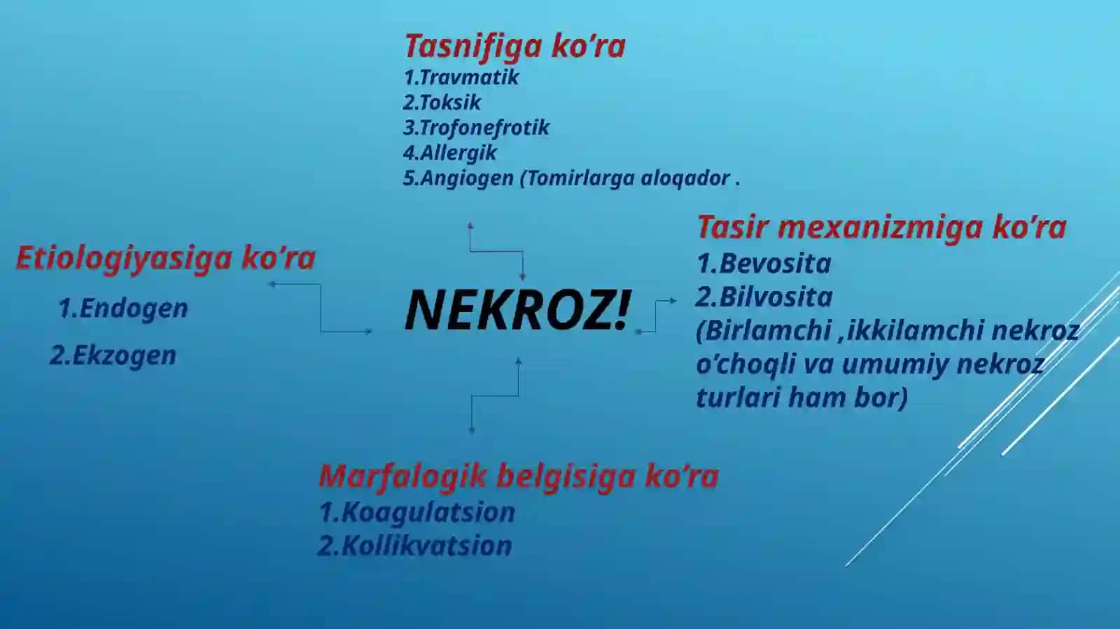 NEkROZ 3