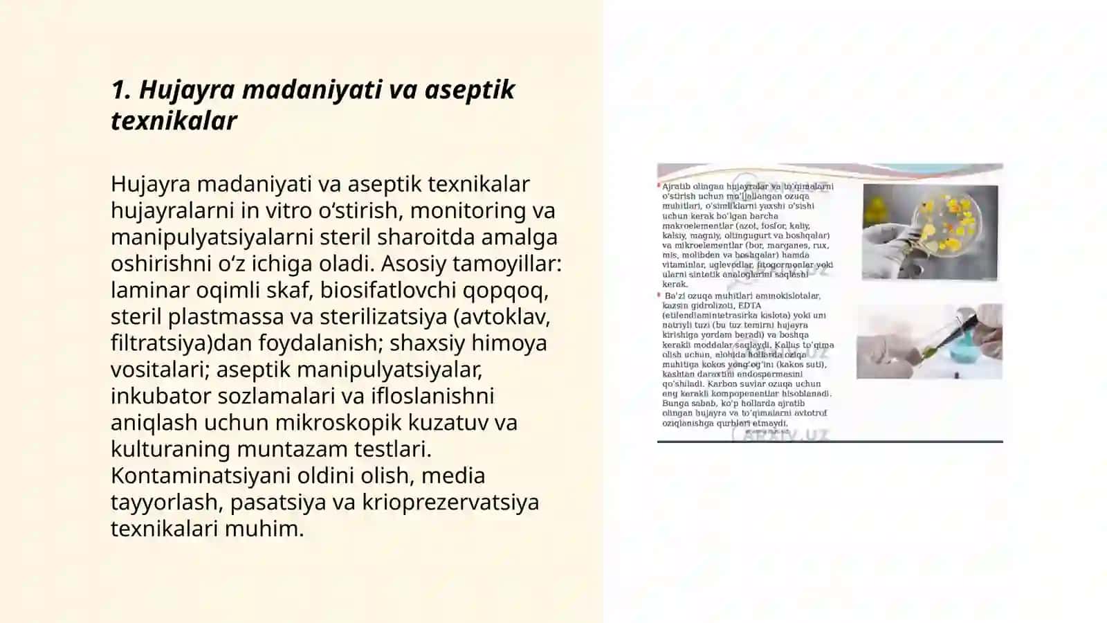 Hujayra muhandisligidagi texnologik jarayonlarni oʻrganish 3